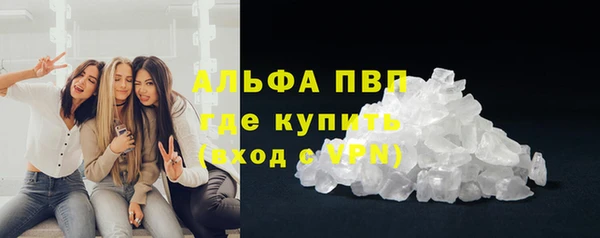 индика Галич