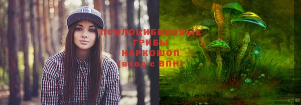 прущий лед Алексин