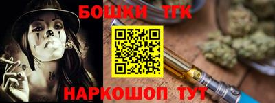 индика Заводоуковск
