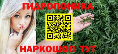 индика Заводоуковск