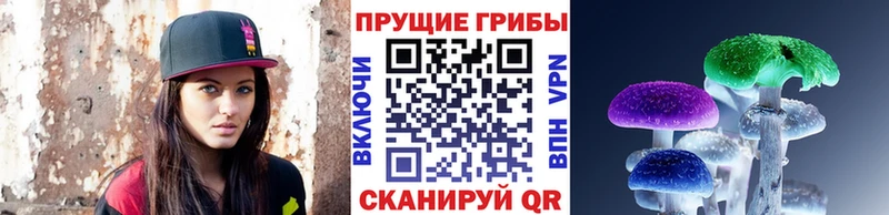 даркнет сайт  Выкса  Галлюциногенные грибы GOLDEN TEACHER 