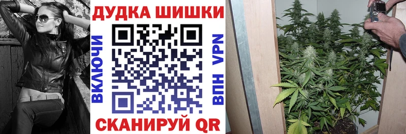 Конопля MAZAR  Выкса 